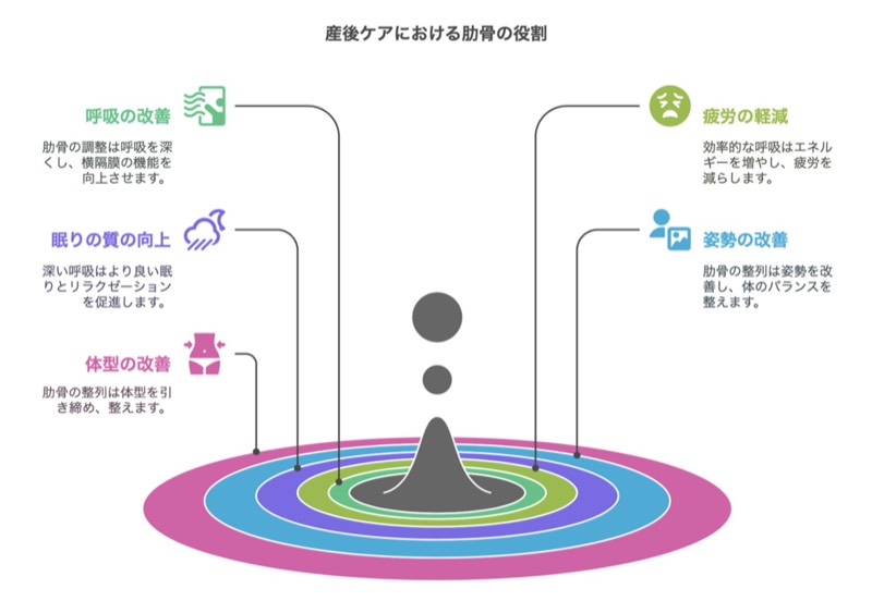 産後ケアにおける肋骨の役割