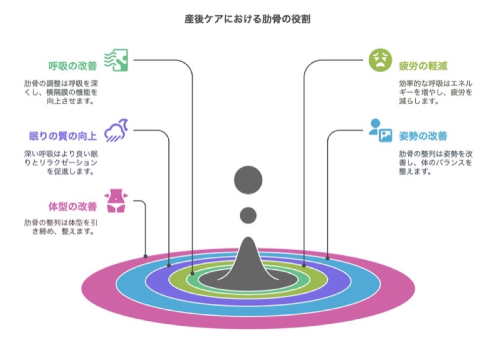 産後ケアにおける肋骨の役割